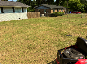 Lawn mowing and edging
